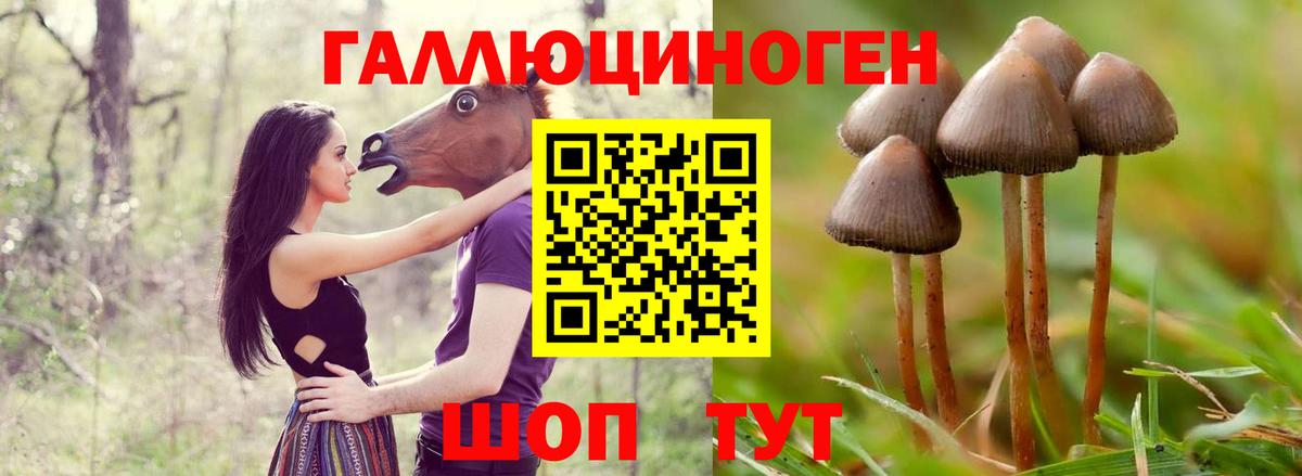 Джанкой  Галлюциногенные грибы Cubensis  Вход с VPN 